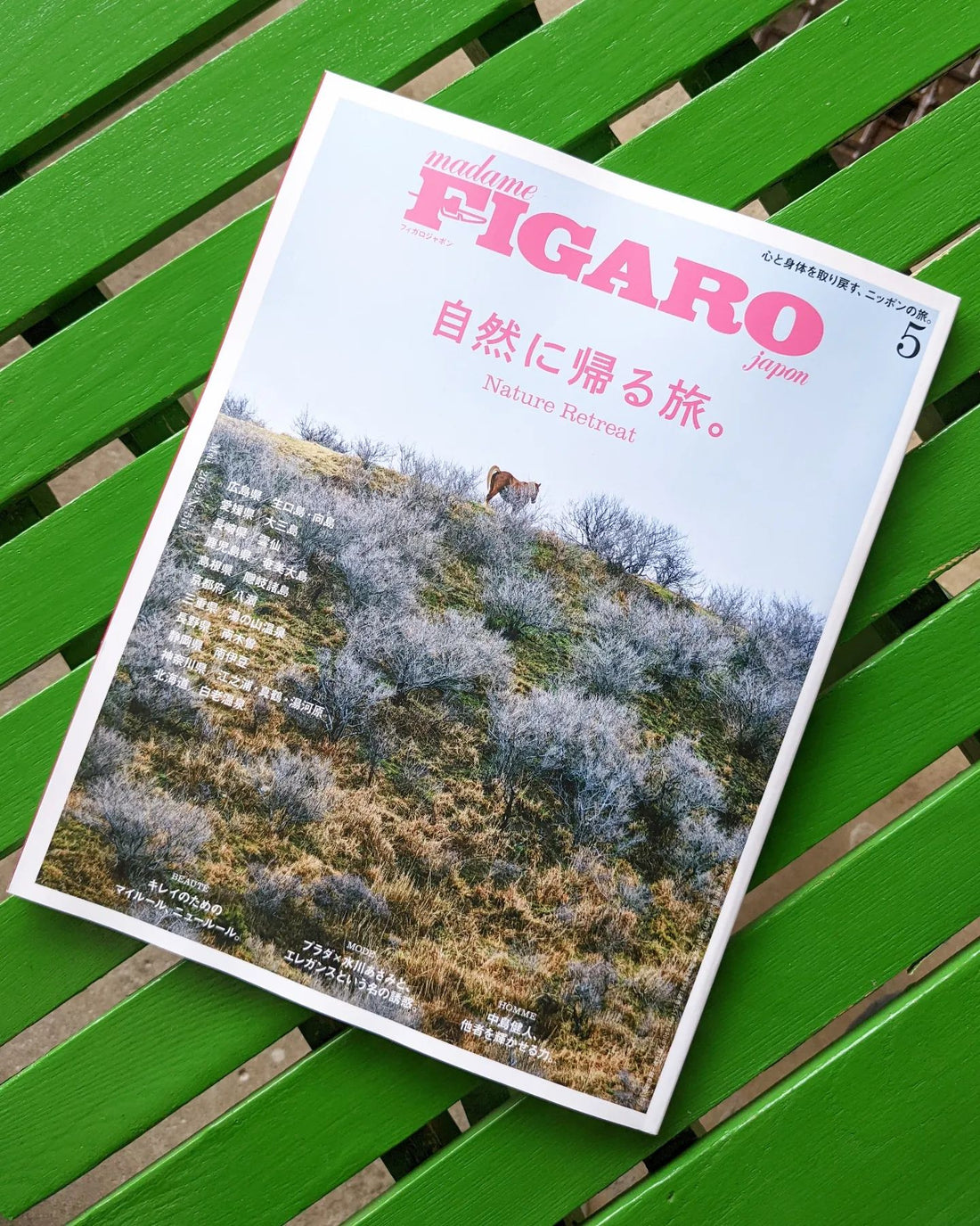雑誌FIGARO japon 5月号特集⁡ 「自然に帰る旅。」⁡に掲載されました